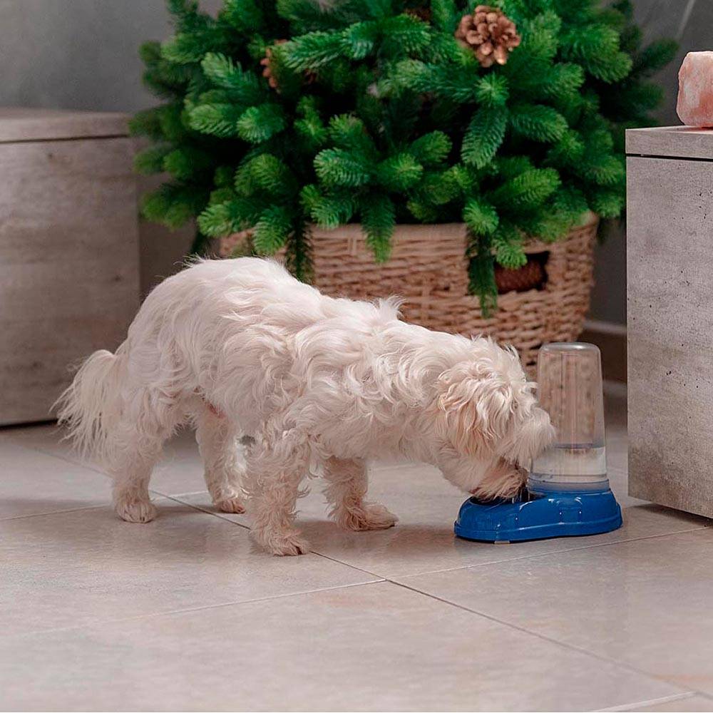 Ferplast - Ferplast Distributeur de nourriture ou d'eau pour chiens et chats AZIMUT 600, Distributeur de nourriture sèche ou eau 0,6 litre, fond antidérapant, - Imagen 6