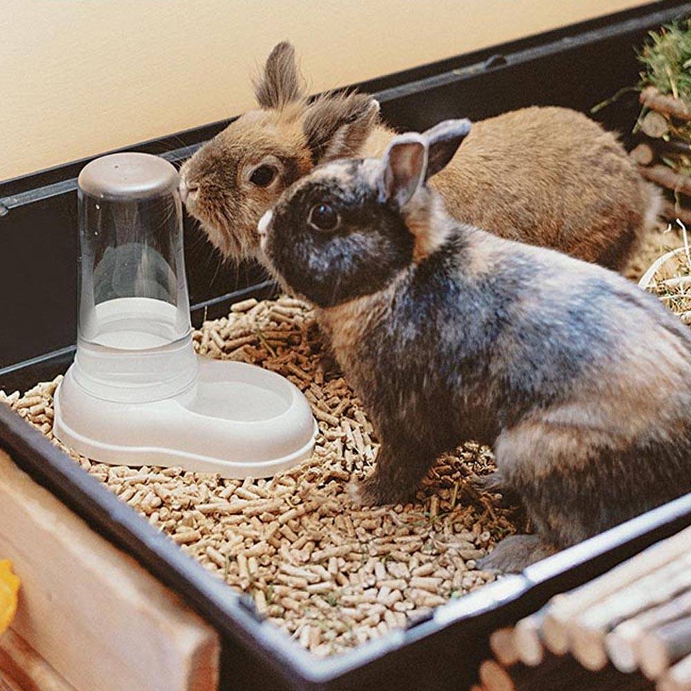 Ferplast - Ferplast Distributeur de nourriture ou d'eau pour chiens et chats AZIMUT 600, Distributeur de nourriture sèche ou eau 0,6 litre, fond antidérapant, - Imagen 5