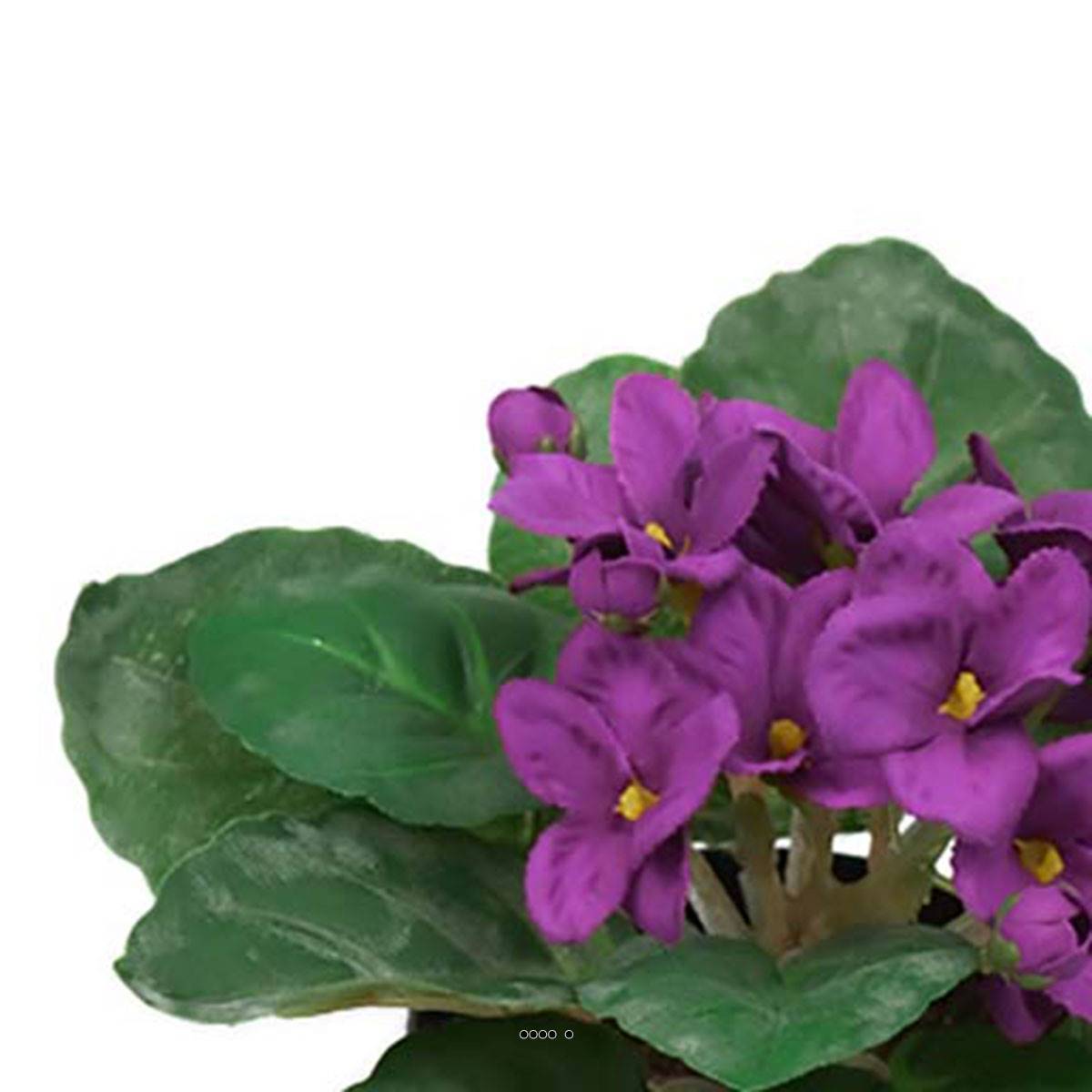 Fleurs Artificielles Saintpaulia - Comme Neuves - Décoration Intérieure - Vert Et Violet