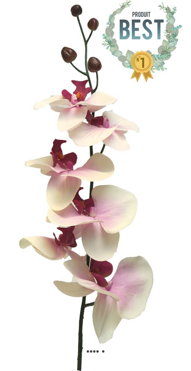 Artificielles - Tige d&rsquo;orchidée phalaenopsis artificielle, H78 cm Pourpre-blanc - BEST - couleur: Pourpre-blanc - Imagen 1