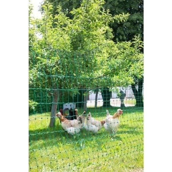 KERBL - Filet pour les poules 25 m - 106 cm - double pointe - vert - non électrique - Image 1