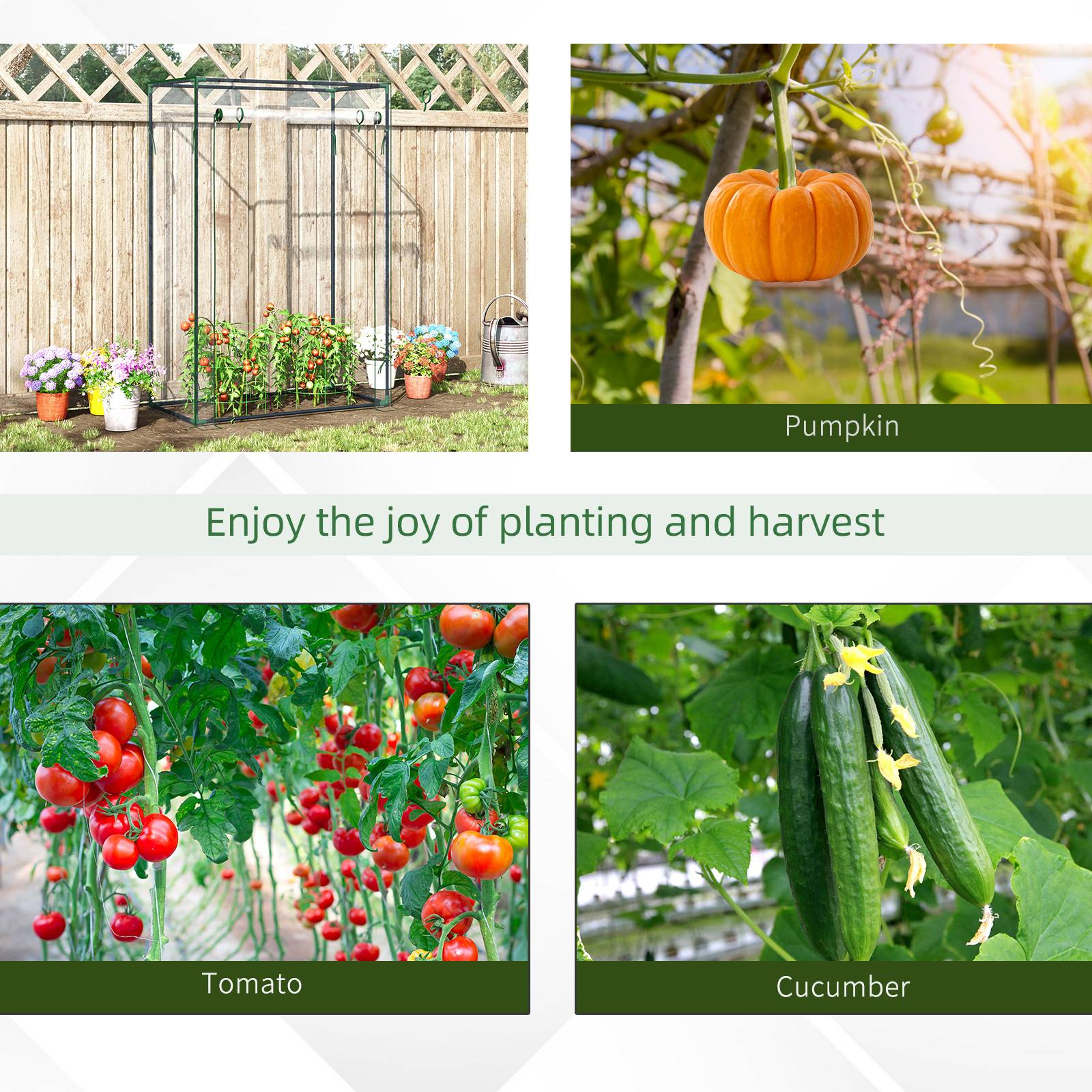 Serre avec porte, hivernale, acier, balcon, jardin, tomates 100x50x150cm, plantes, Transparent - Image 7