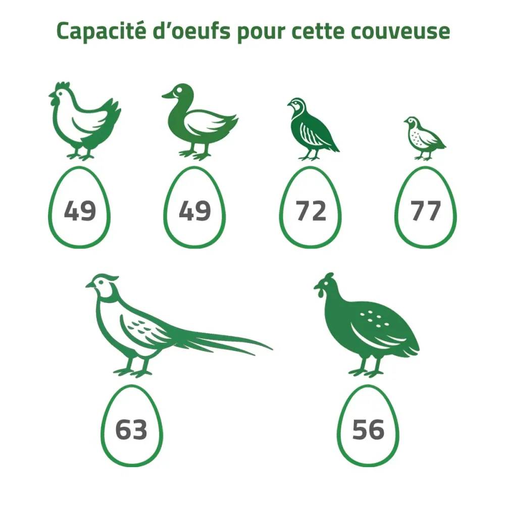 Couveuse + 1 Tiroir de caille à poule + 1 Panier d'éclosion MAINO - Image 10