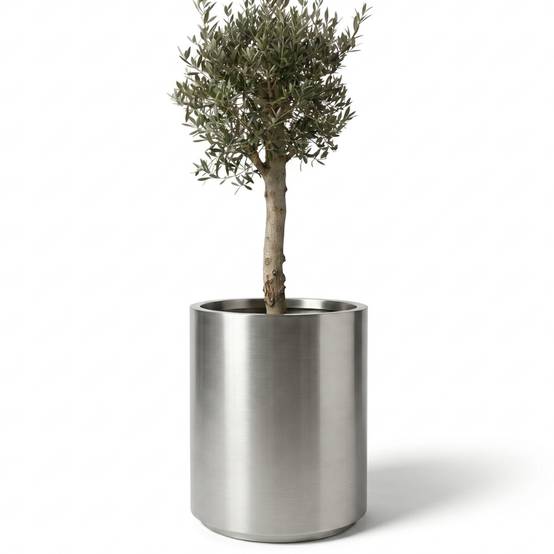 Lot olivier + pot METROPOLE 60x70cm inox brossé, pot de grande taille fait main en acier inoxydable - Image 1
