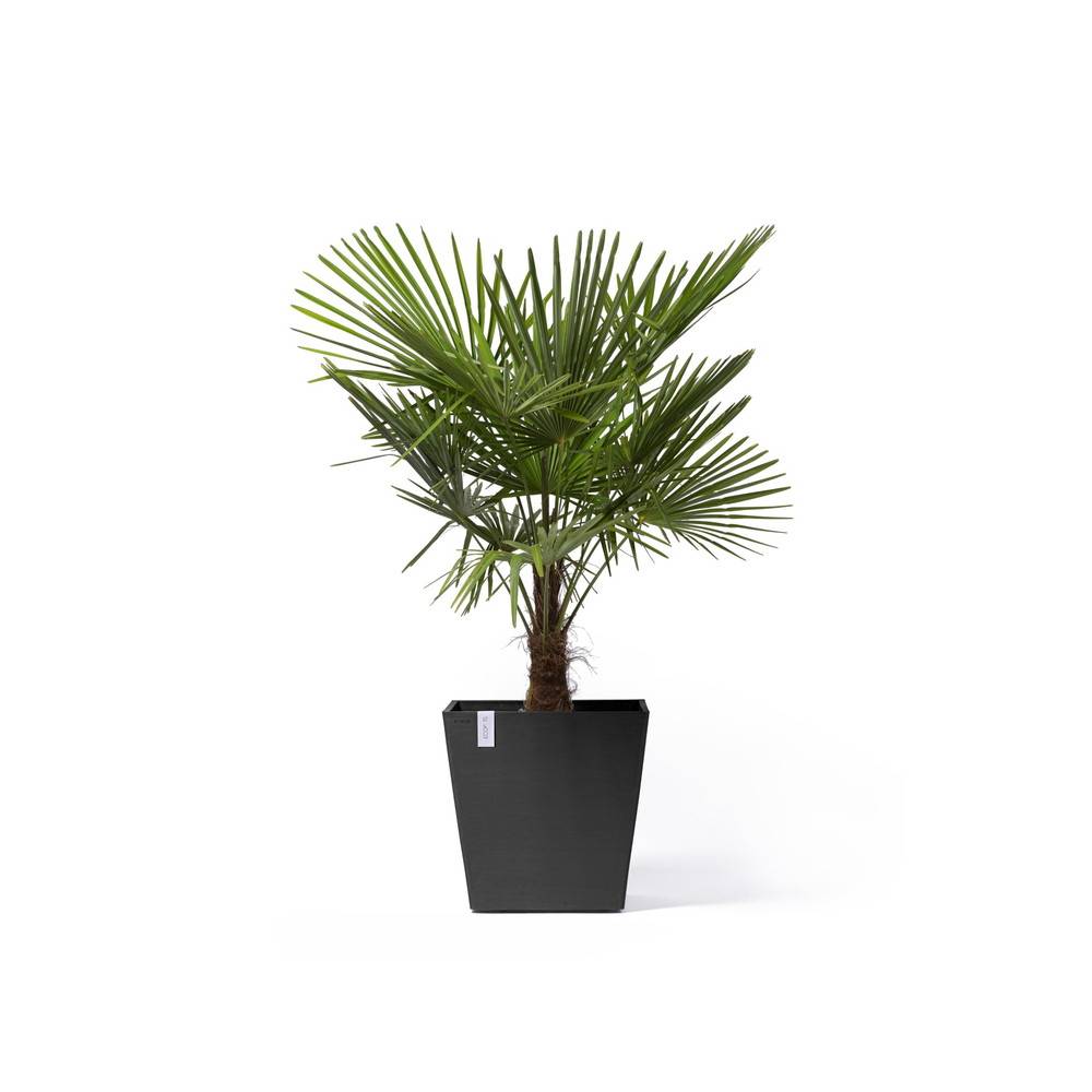 Ecopots - Grand pot sur roues Rotterdam 50 Gris Foncé - 50 x 50 x H. 49,2 cm - 76,3 L ECOPOTS - Imagen 2