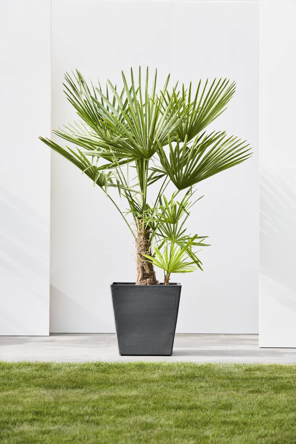 Ecopots - Grand pot sur roues Rotterdam 50 Gris Foncé - 50 x 50 x H. 49,2 cm - 76,3 L ECOPOTS - Imagen 4