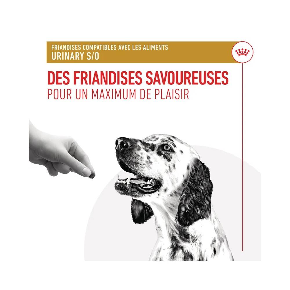 Royal Canin - Royal Canin Chien Urinary Friandises 230 g
