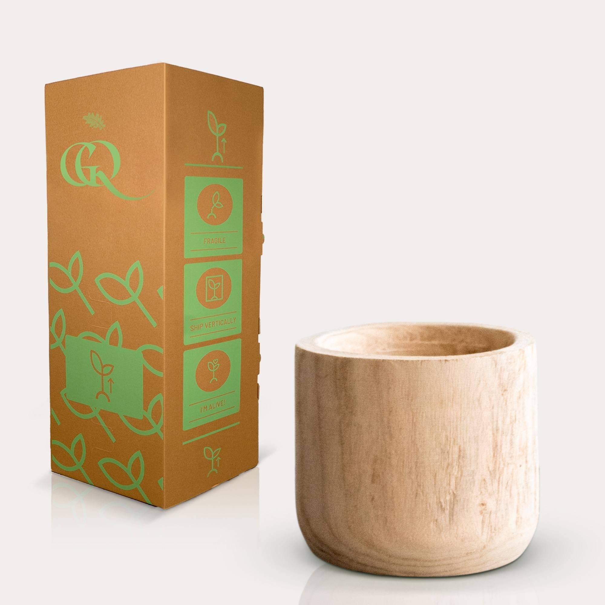 Pot - Bois clair brun - Pot Pia - Taille S 19 cm- La Green Touch - Imagen 3
