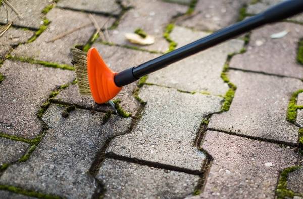Gt Garden - Brosse de nettoyage télescopique pour pavés - GT GARDEN - Imagen 3