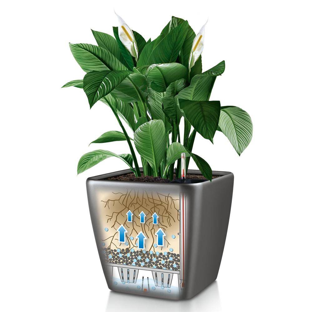Lechuza - Pot Quadro Premium LS 43 - kit complet, anthracite métallisé 43 cm Lechuza - Imagen 3