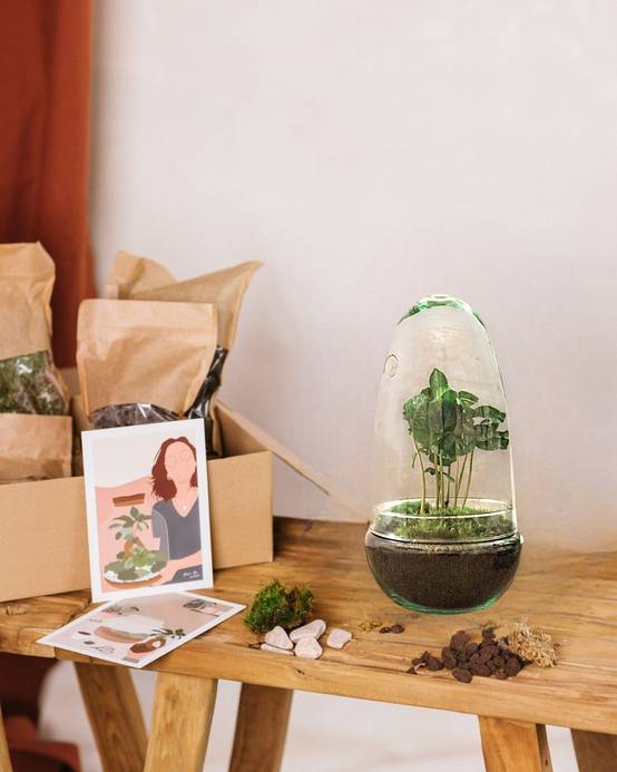 Kit Terrarium Diy - D25 H25cm - Image 1