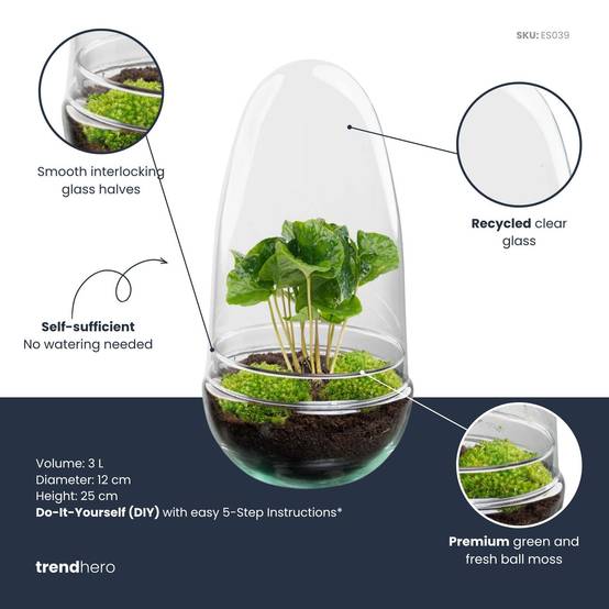 Kit Terrarium Diy - D25 H25cm - Image 2