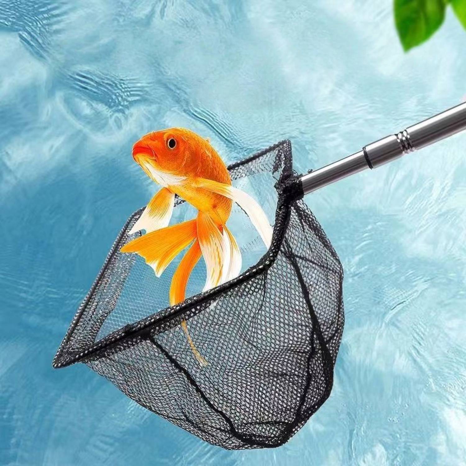 Épuisette Carrée Inoxydable Télescopique DtopbuyAge - Image 3