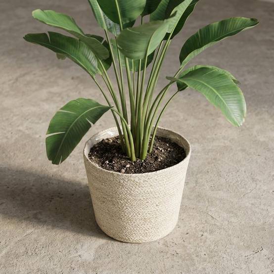 Cache-pot panier tressé - D.22cm x H.19cm - Image 3