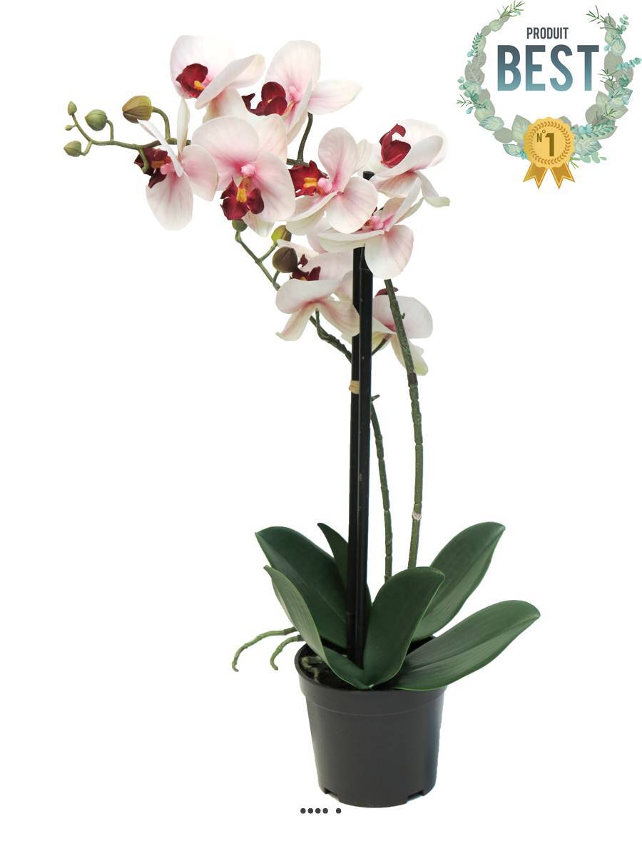 Artificielles - Orchidée Phalaenopsis factice en pot top qualité H50cm Rose-crème-BEST - dimhaut: H 50 cm - couleur: Rose-crème - Imagen 1