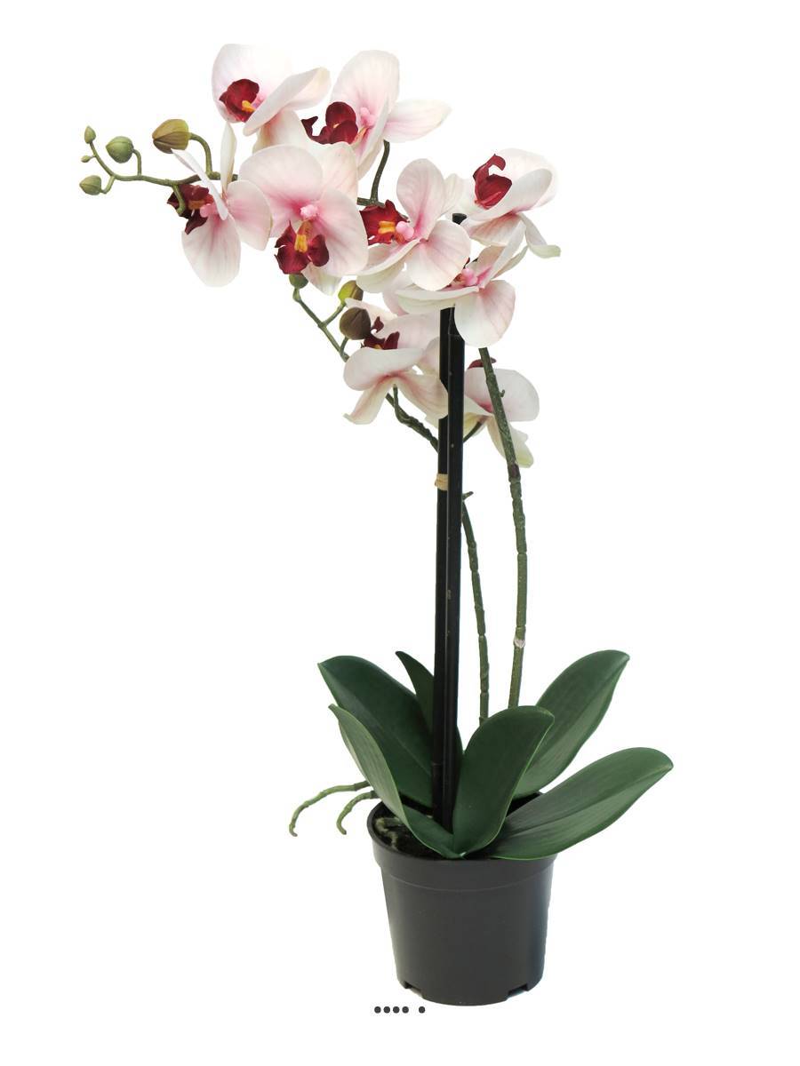 Artificielles - Orchidée Phalaenopsis factice en pot top qualité H50cm Rose-crème-BEST - dimhaut: H 50 cm - couleur: Rose-crème - Imagen 2