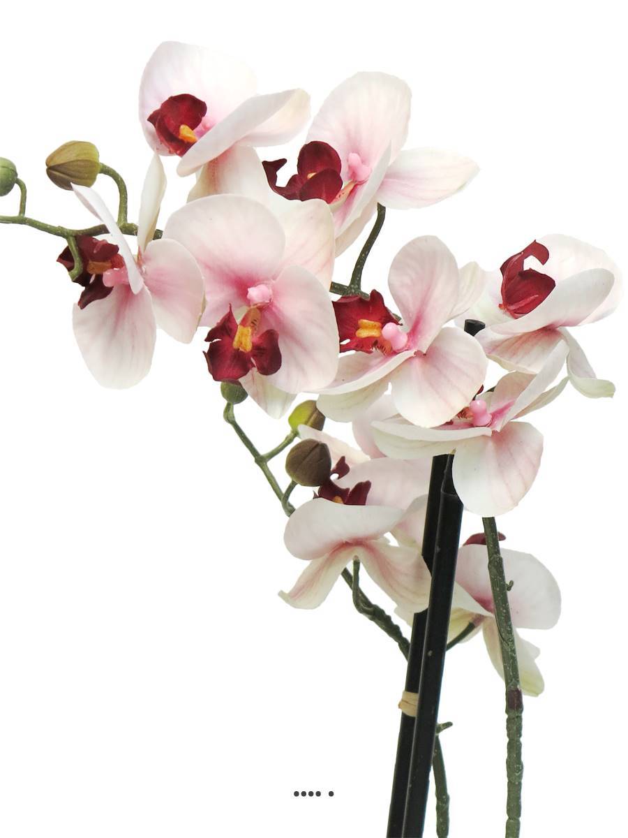 Artificielles - Orchidée Phalaenopsis factice en pot top qualité H50cm Rose-crème-BEST - dimhaut: H 50 cm - couleur: Rose-crème - Imagen 3