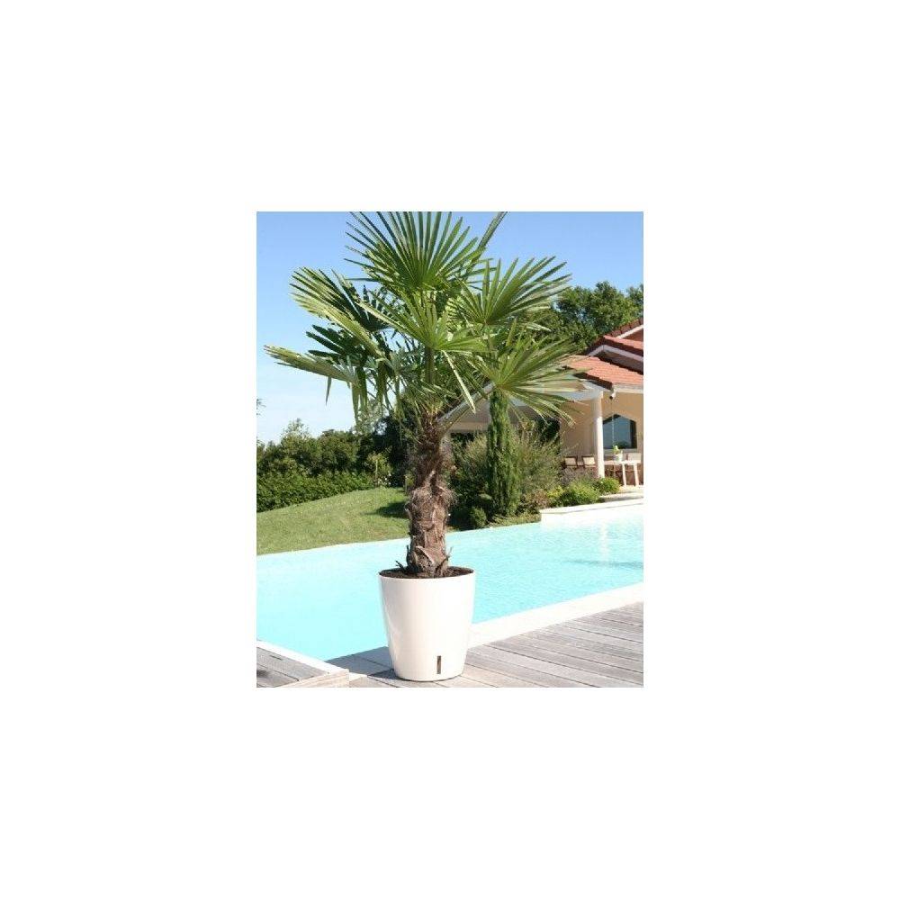 Riss - Bac A Fleurs Rond Riviera Eva New - Plastique - Diametre 36 Cm - Bleu - Imagen 2
