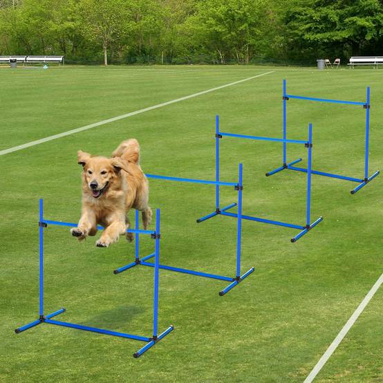 Obstacles d'agilité pour chien plastiques bleu 99 x 65 x 94 cm - PANGIVO - Image 4