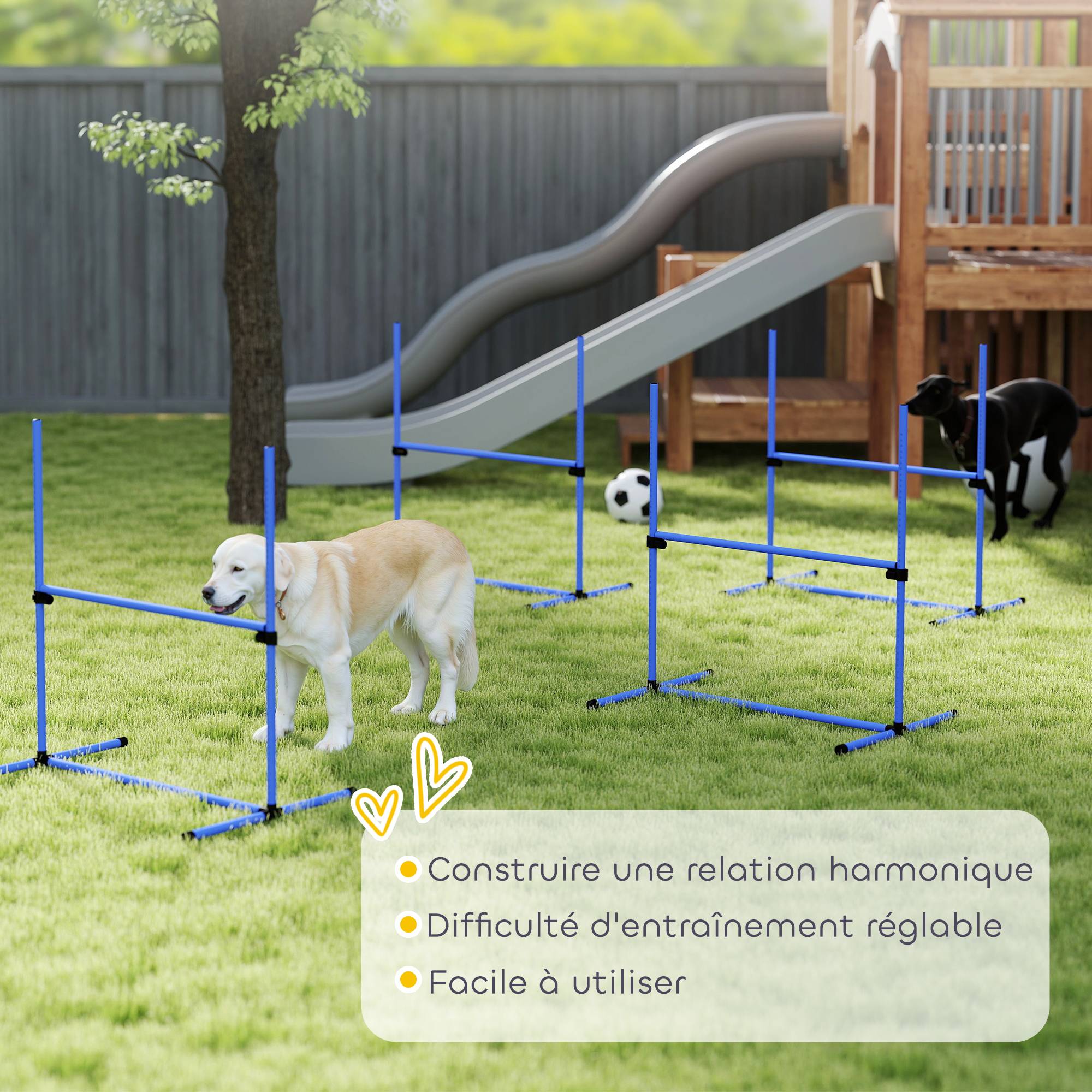 Obstacles d'agilité pour chien plastiques bleu 99 x 65 x 94 cm - PANGIVO - Image 9