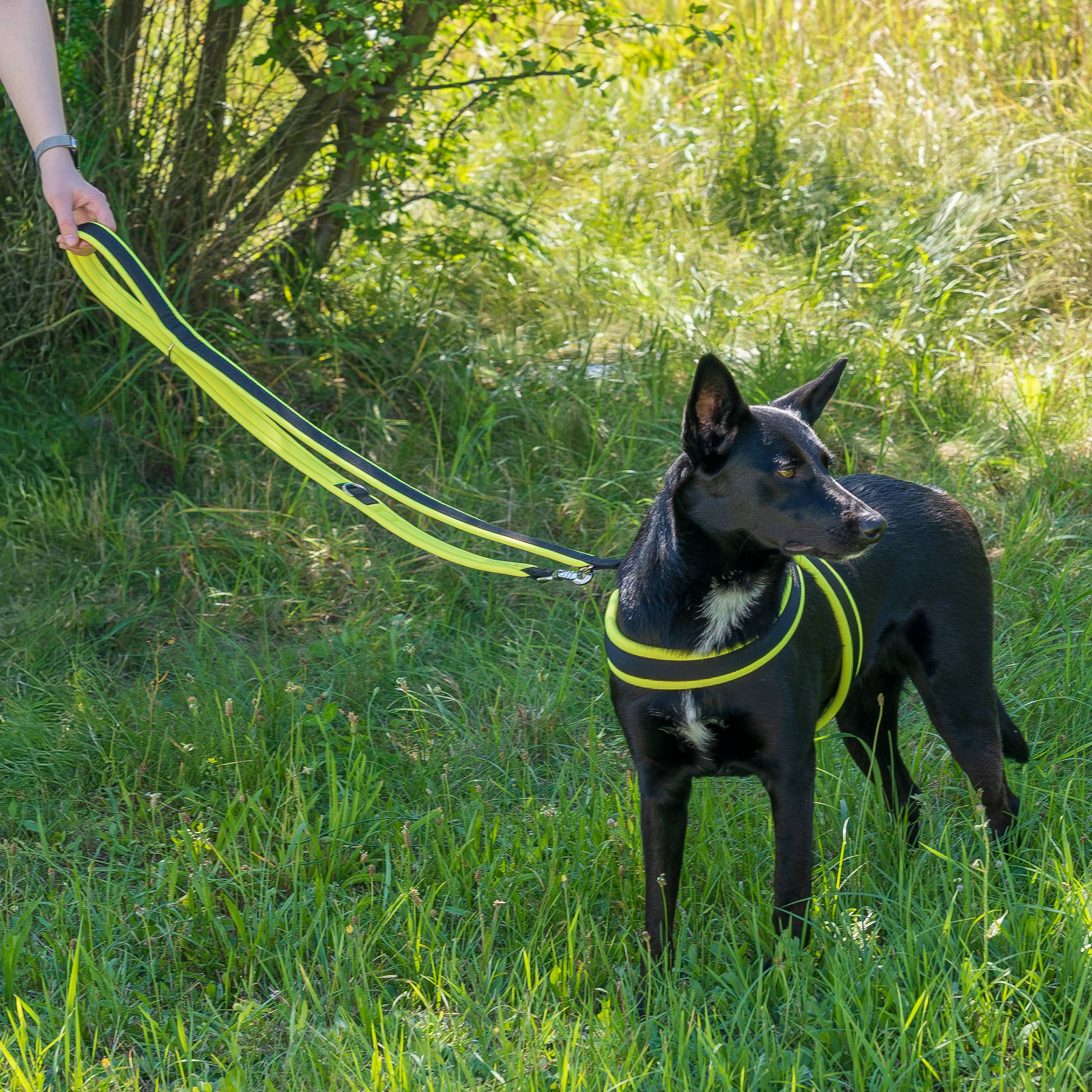 Ferplast - Ferplast laisse pour chien ERGOFLUO, Laisse de ressage pour chien de taille moyenne, Poignée rembourrée, Mousqueton en métal. Longueur réglable. - Imagen 3