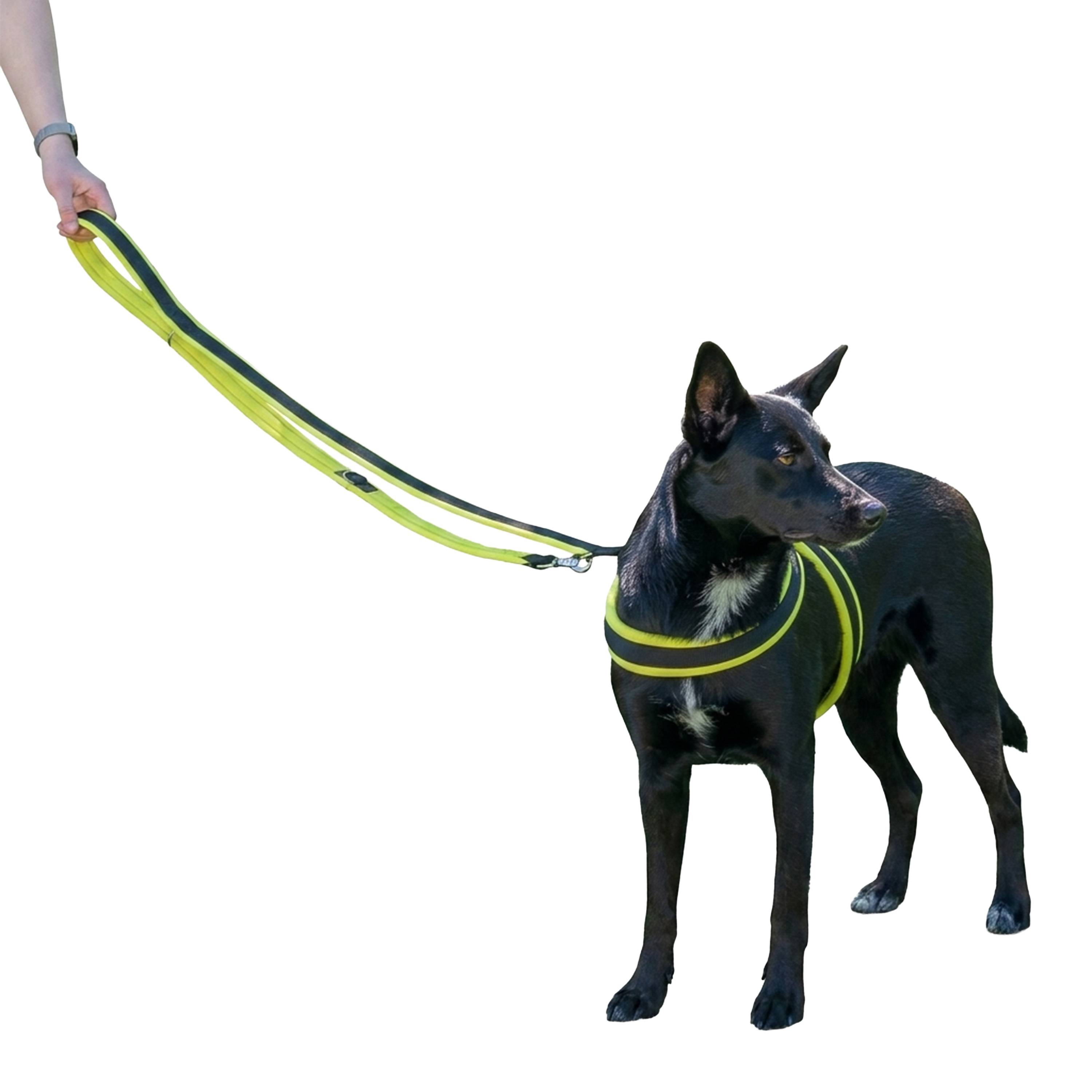 Ferplast - Ferplast laisse pour chien ERGOFLUO, Laisse de ressage pour chien de taille moyenne, Poignée rembourrée, Mousqueton en métal. Longueur réglable. - Imagen 5