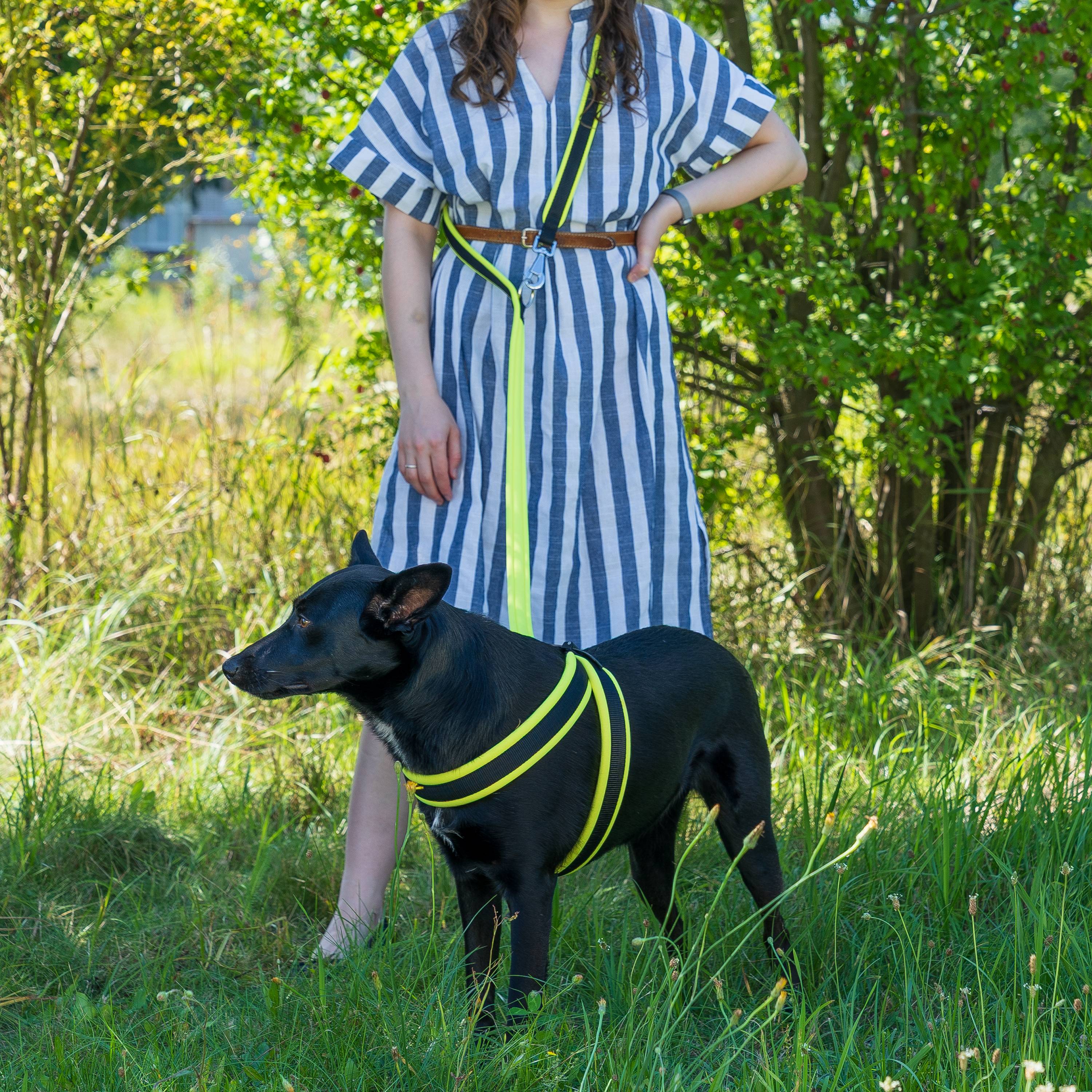Ferplast - Ferplast laisse pour chien ERGOFLUO, Laisse de ressage pour chien de taille moyenne, Poignée rembourrée, Mousqueton en métal. Longueur réglable. - Imagen 4