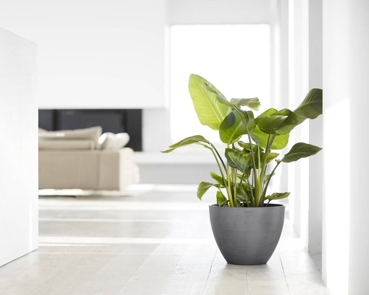 Ecopots - Pot Rond Antwerp 40 Gris - Ø 40 x H. 30 cm - 25 L ECOPOTS - Imagen 3