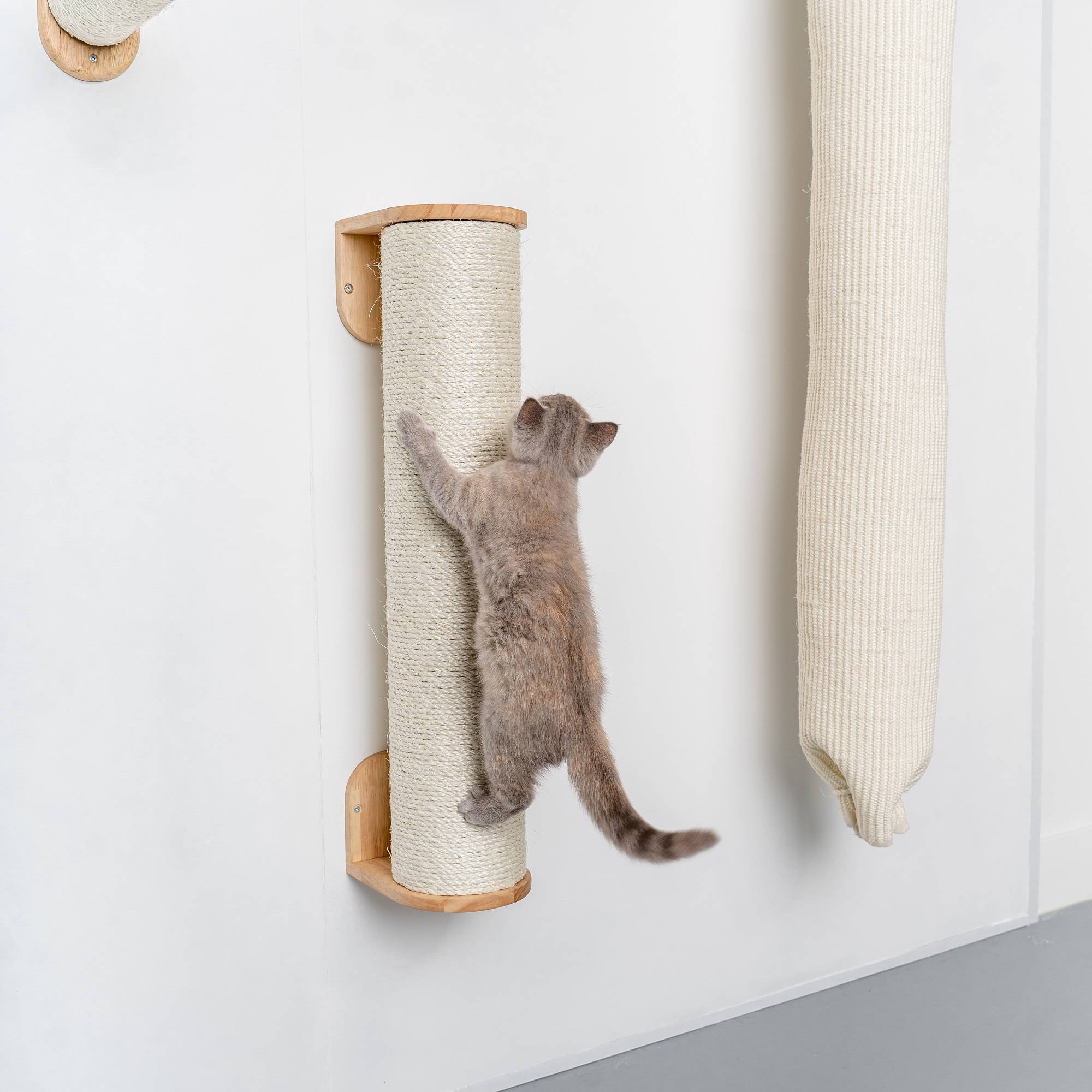 Rhr Concepts Bv - Mur d’escalade pour chat - Poteau mural en sisal XXL (beige) - RHR Concepts BV - Imagen 2