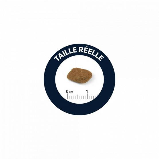 CROQUETTES CHIEN SENIOR MEDIUM - ADVANCE 3 kg - Image 2