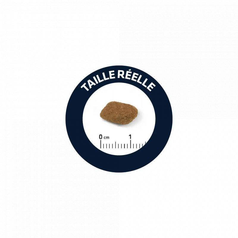 CROQUETTES CHIEN SENIOR MEDIUM - ADVANCE 3 kg - Image 2
