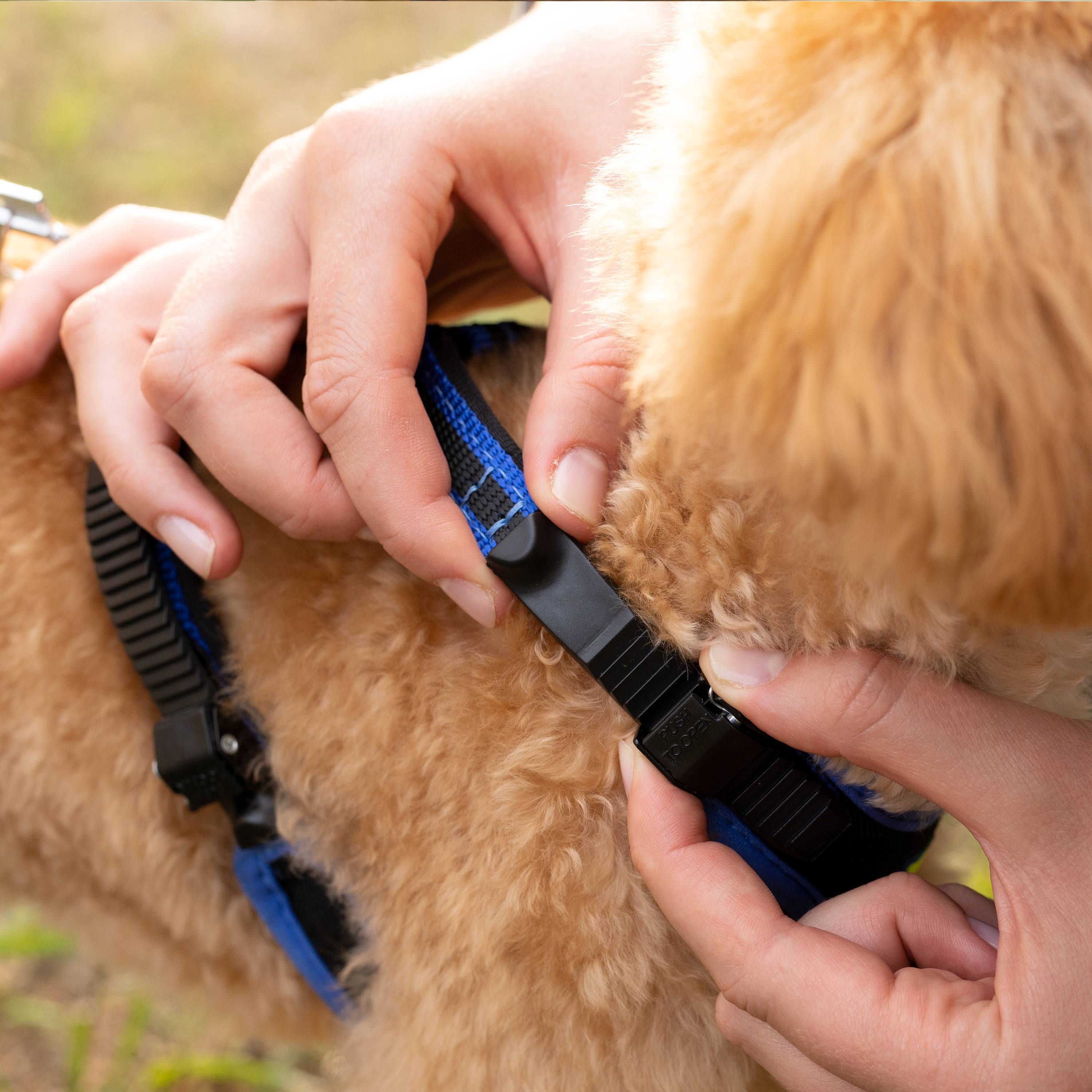 Ferplast - Ferplast Harnais pour chien petite taille ERGOCOMFORT EXTRA SMALL, Harnais pour chien réglable, Confortable, Rembourré, Fermeture double - Imagen 5