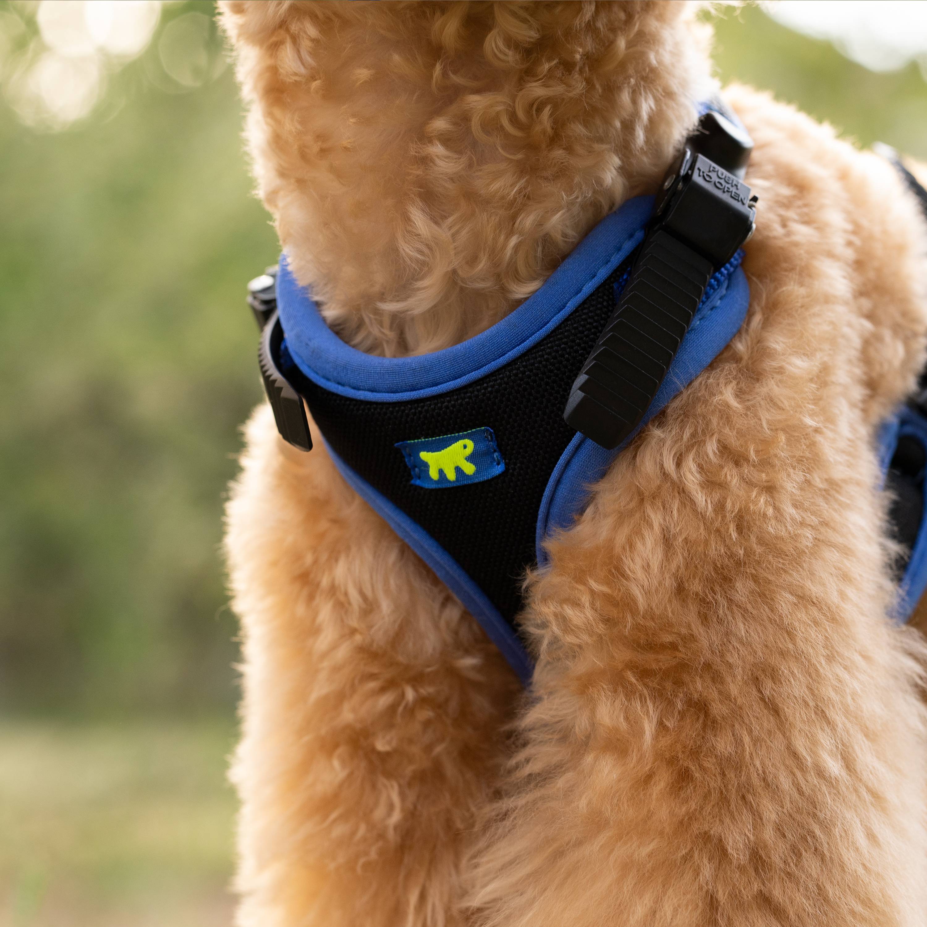Ferplast - Ferplast Harnais pour chien petite taille ERGOCOMFORT EXTRA SMALL, Harnais pour chien réglable, Confortable, Rembourré, Fermeture double - Imagen 6