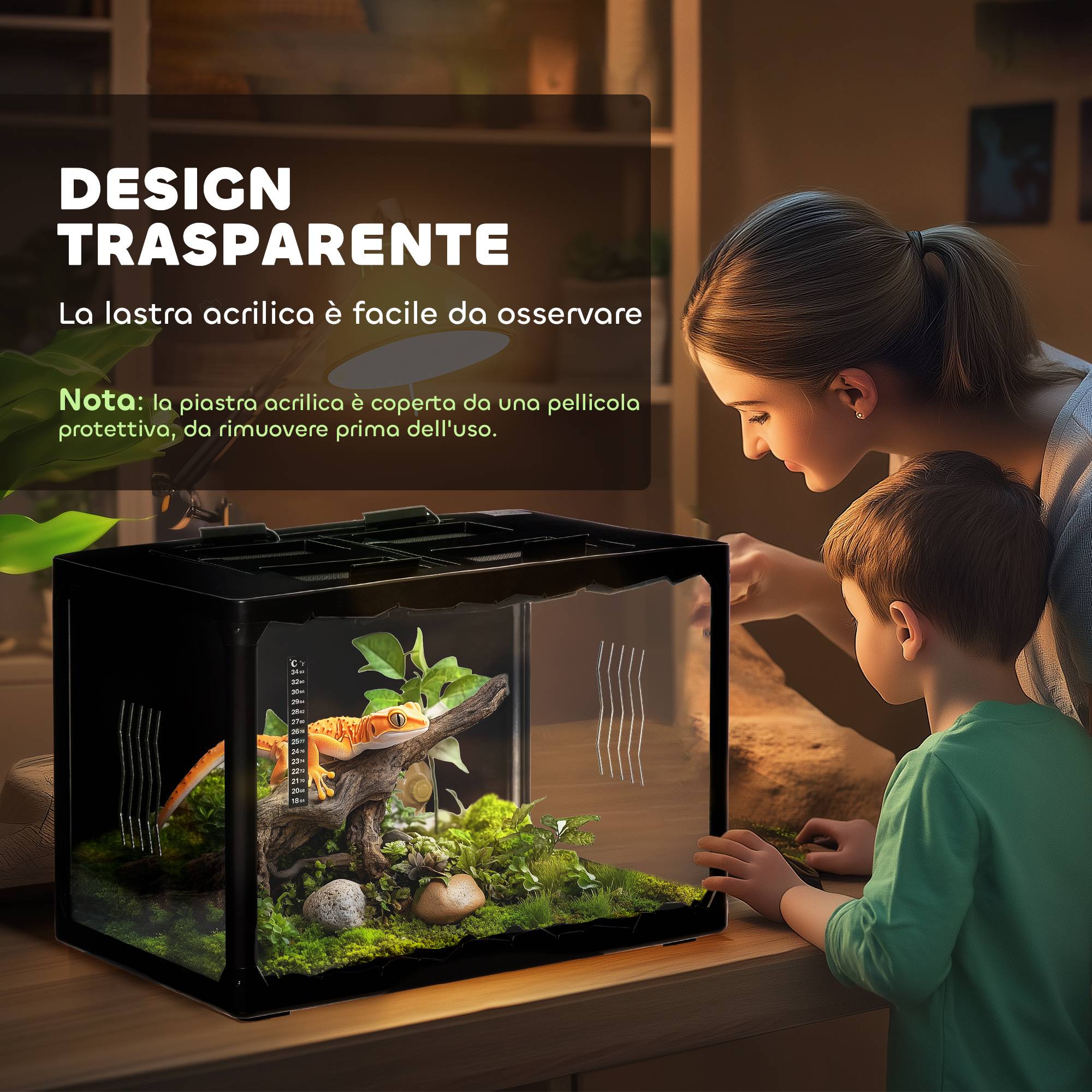 Terrarium pour tortues terrestres et reptiles avec thermomètre 18-34℃, 60×40×40,5cm noir - Image 6