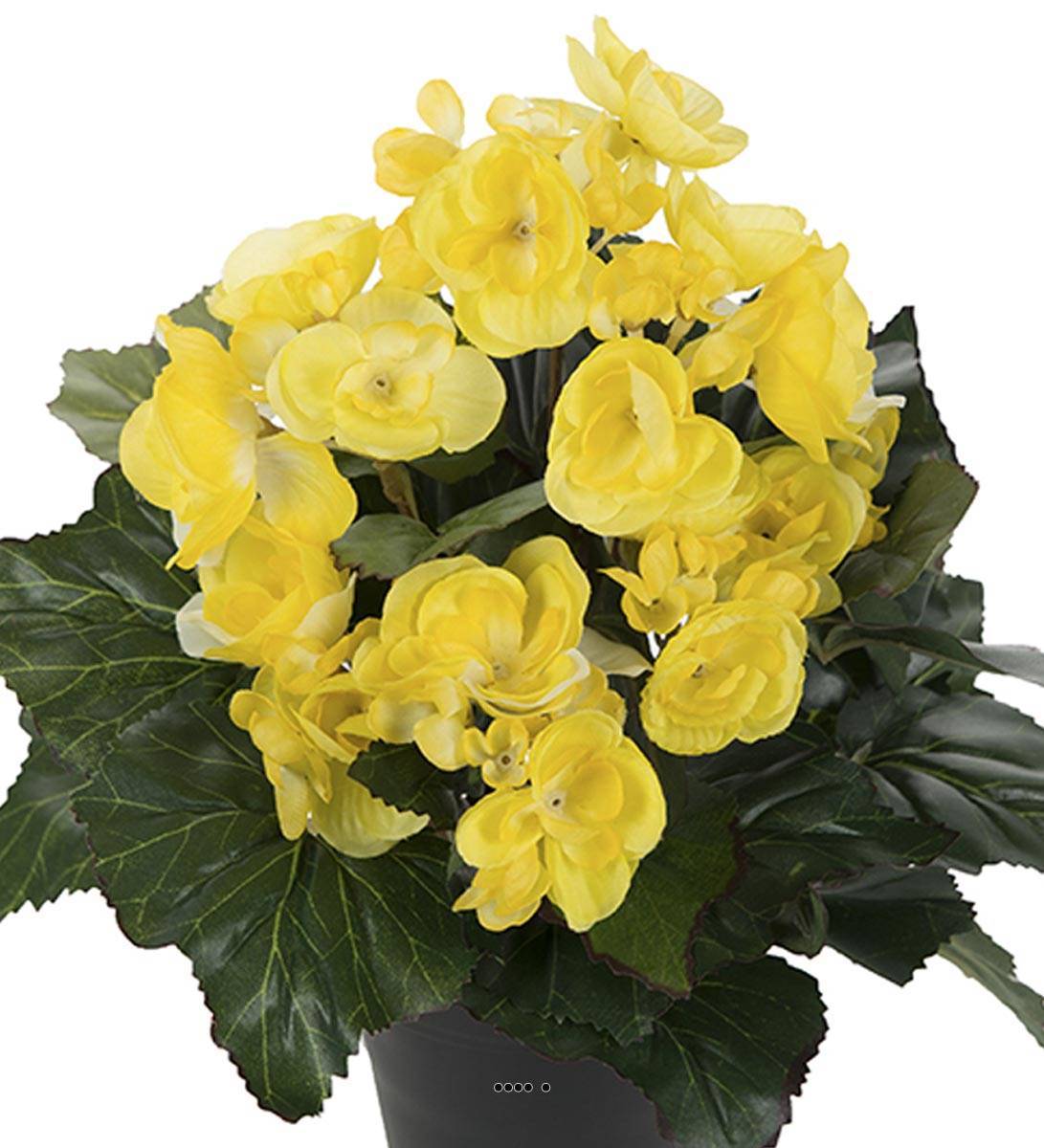 Artificielles - Begonia artificiel en pot H 28 cm superbe qualité Jaune citron - couleur: Jaune citron - Imagen 3