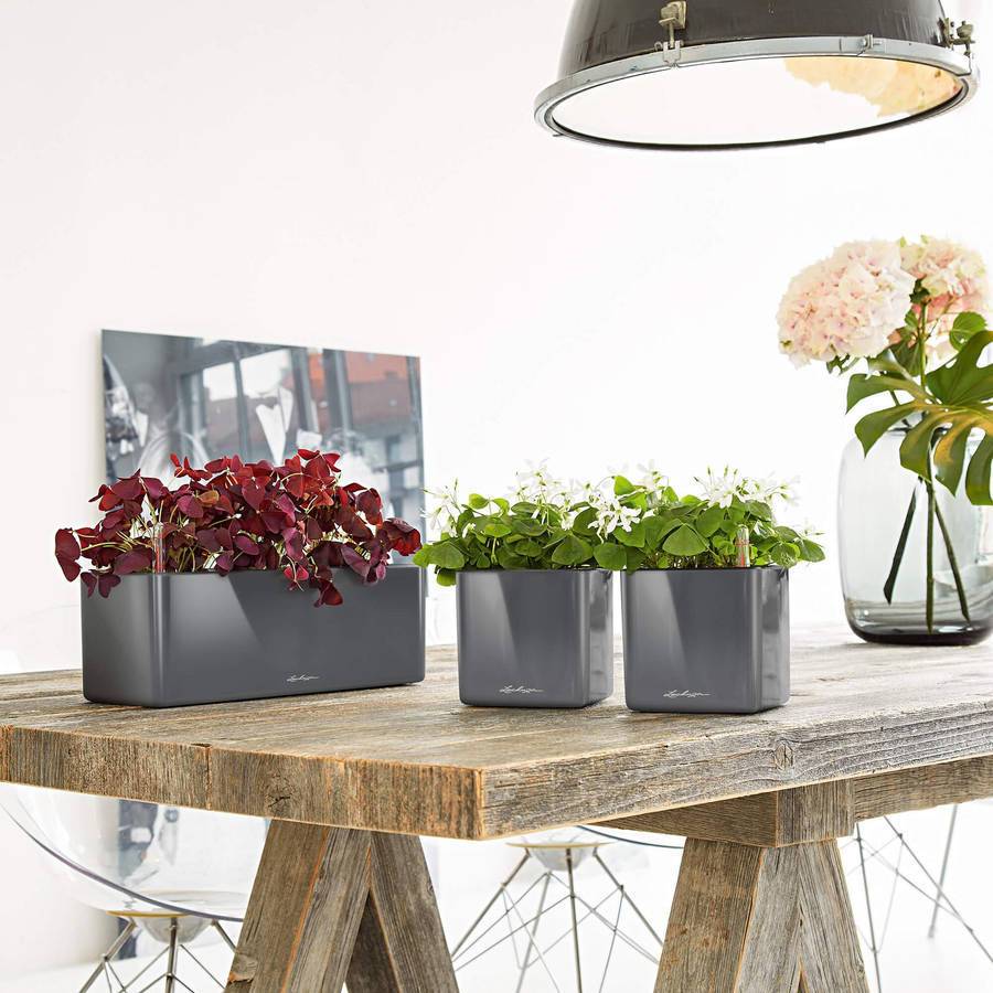 Lechuza - CUBE Glossy Triple - 40x14x14 cm - Kit Complet, anthracite ultra brillant Lechuza - Image 3