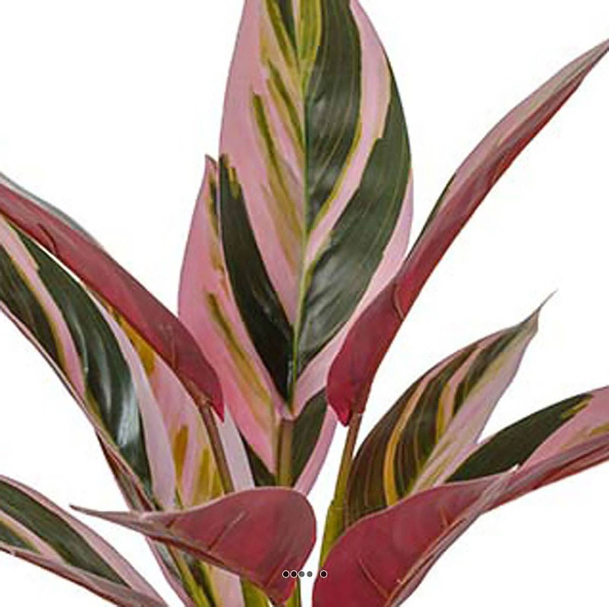 Artificielles - Cordilyne artificielle en pot H 38 cm D 40 cm vert-rose - Imagen 3