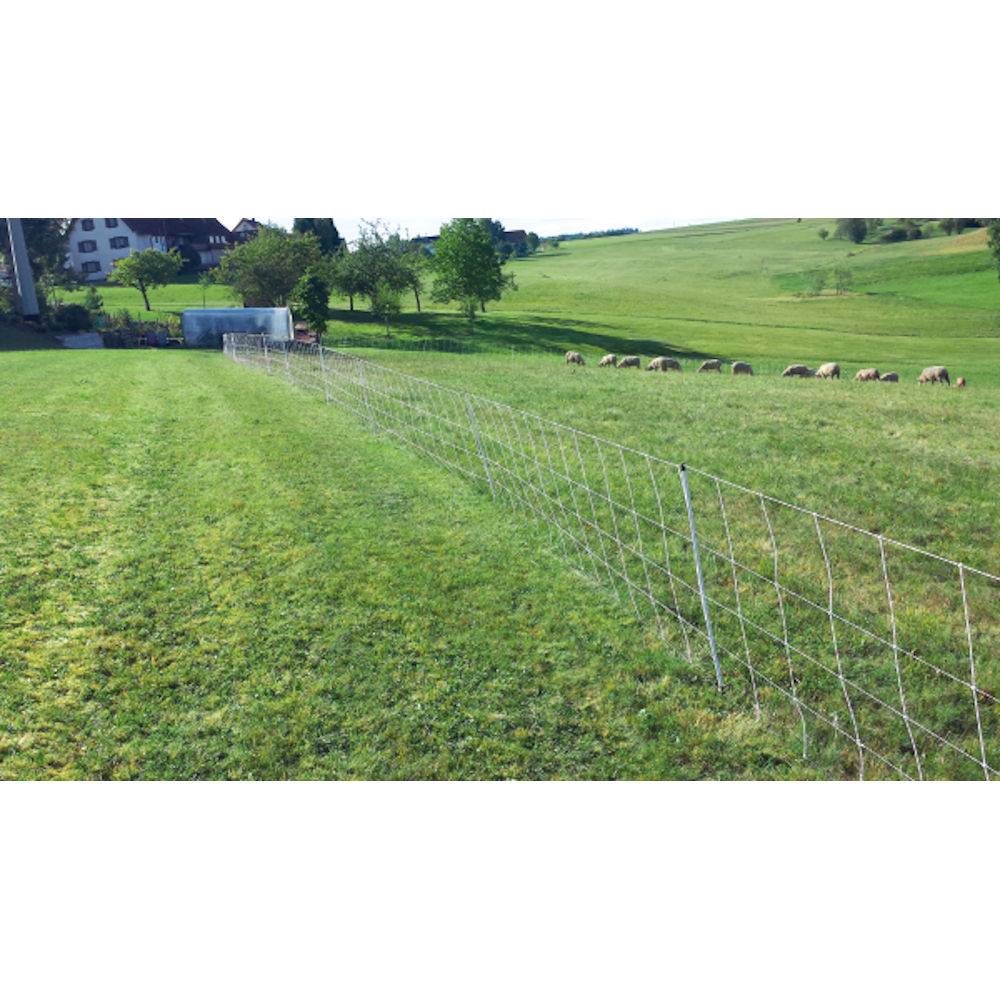 Horizont - Filet moutons double pointe, turbomax extra, 0.90 x 50 m - Imagen 3
