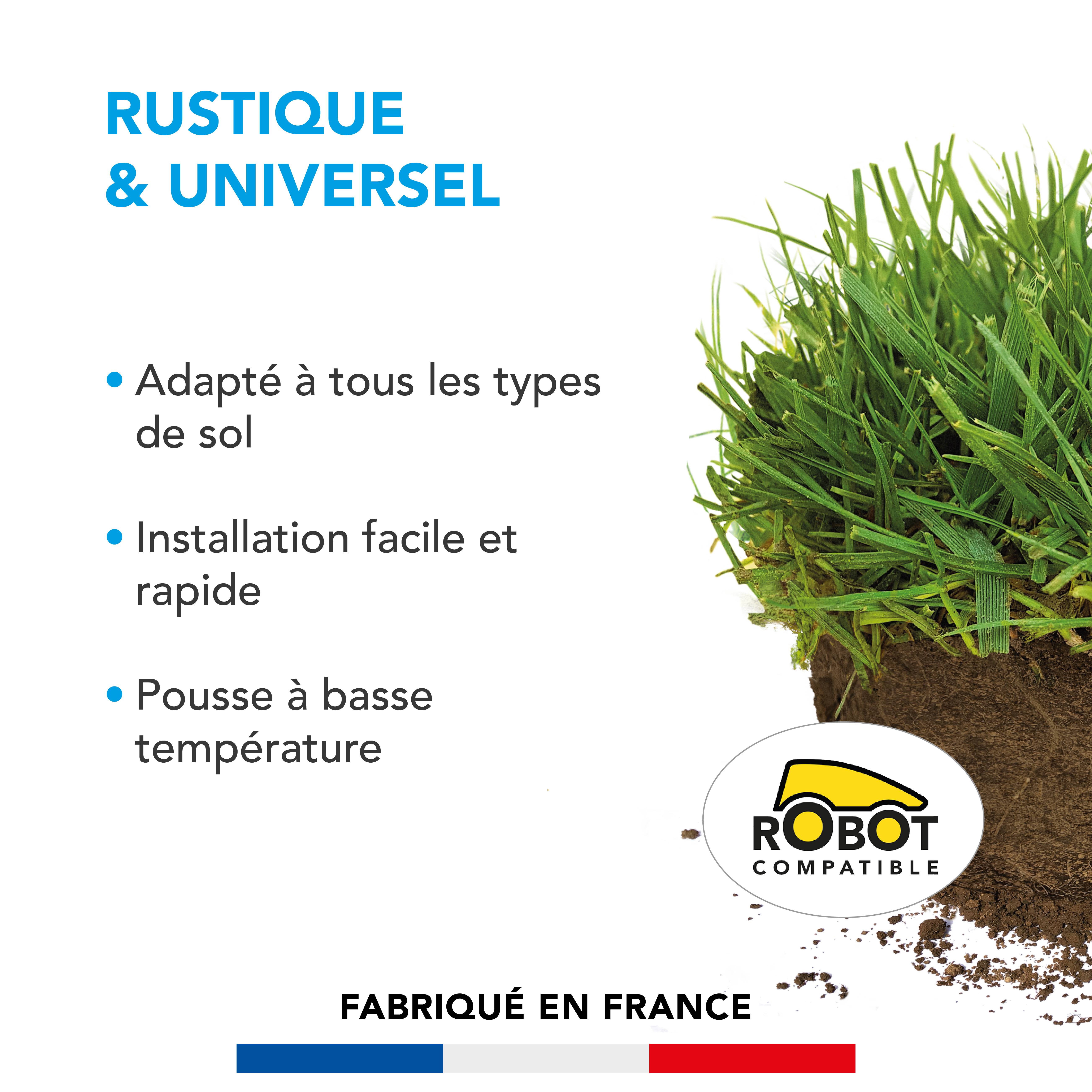 Gazon Rustique & Universel - Adapté Tous Sols - Installation Facile et Rapide - Pousse à Basse Température - 1KG - BARENBRUG - Image 2