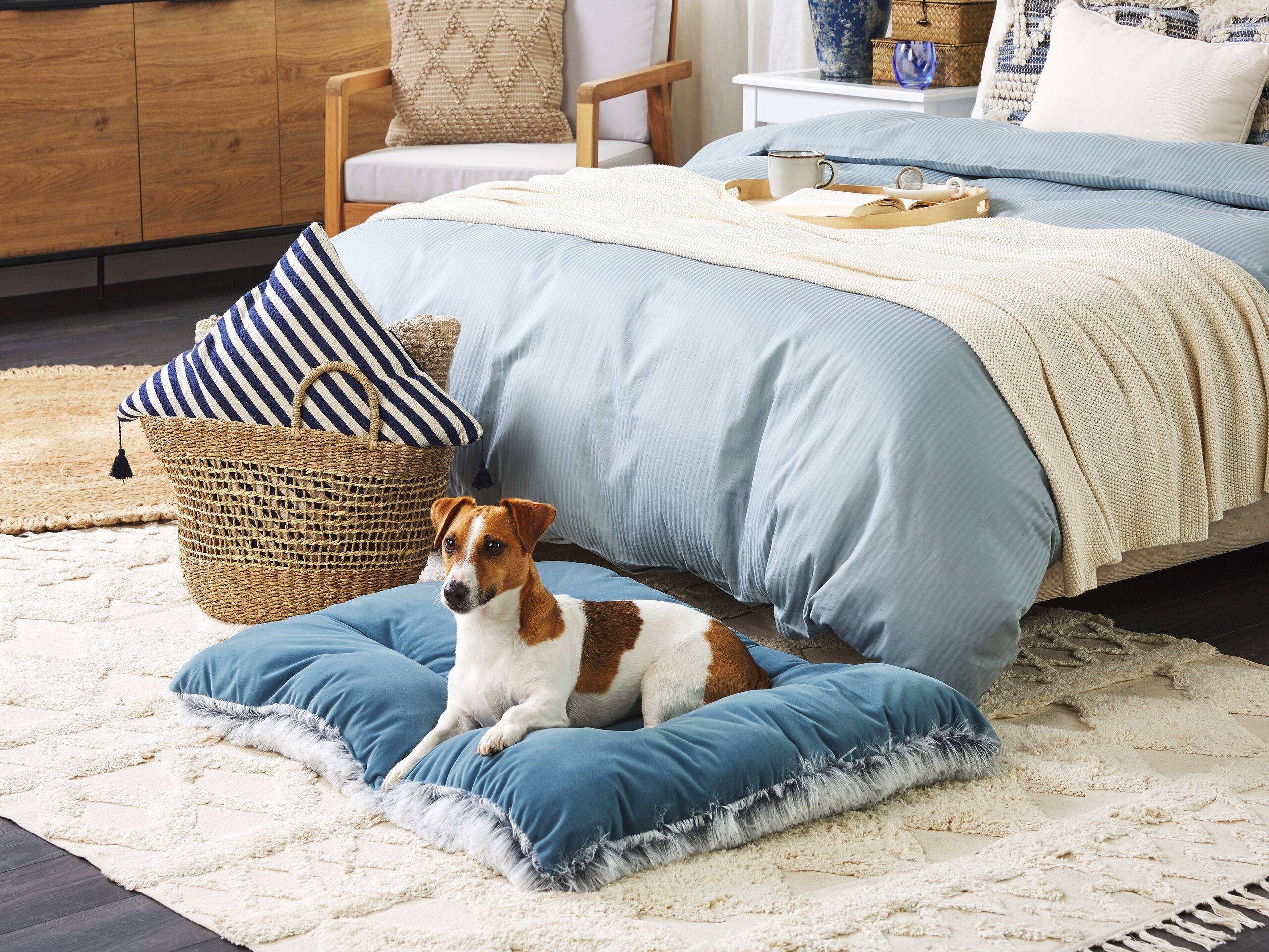 Beliani - Lit pour animal Velours Bleu ERGANI - 90x60x10- Beliani - Image 1