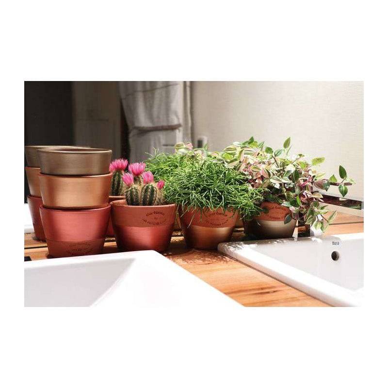 Les Poteries d'Albi - Pot terre cuite émaillée cactus D12 H8,5 cm - LES POTERIES D'ALBI