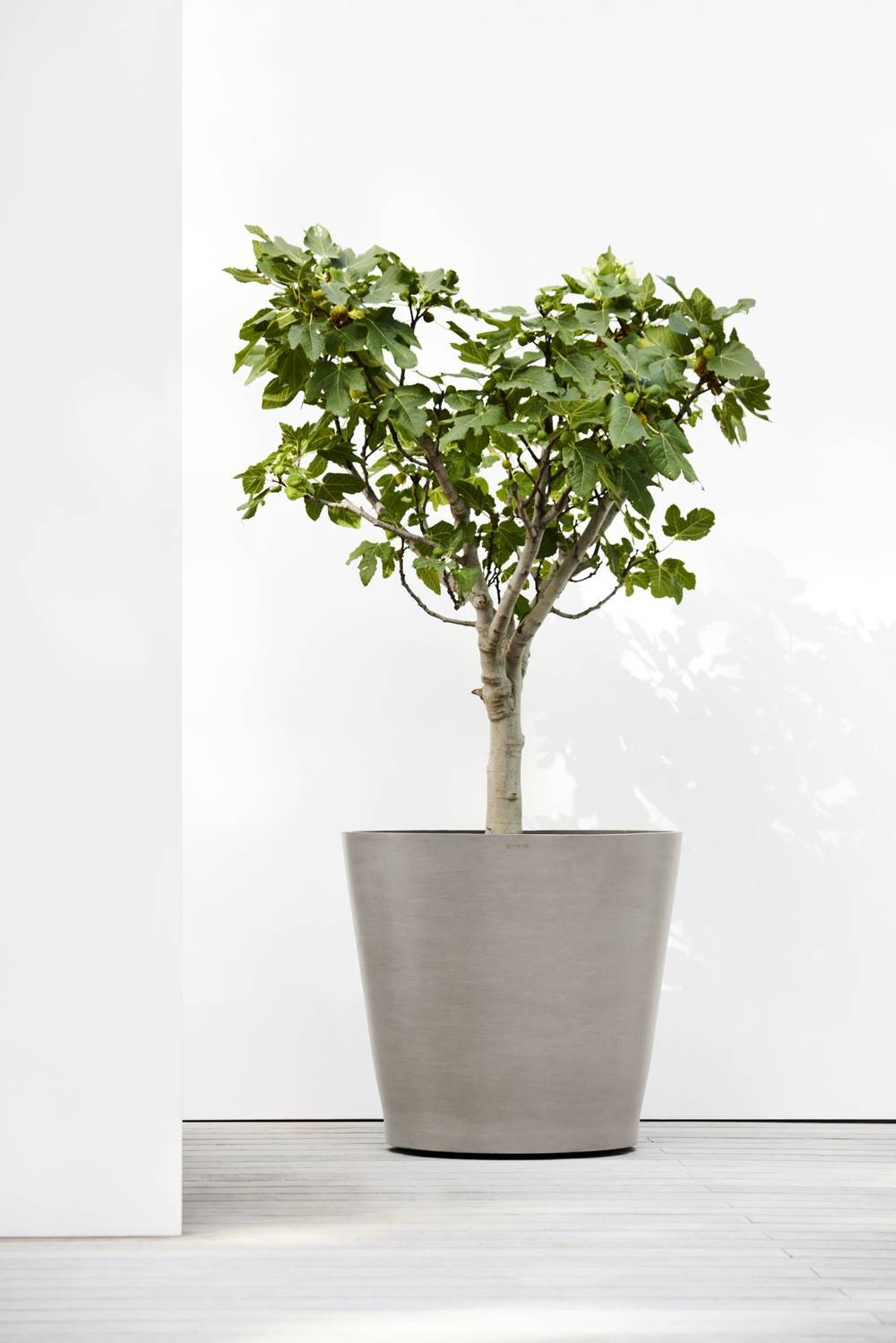 Ecopots - Grand pot sur roues Amsterdam 80 Taupe - Ø 80 x H. 75 cm - 300 L ECOPOTS - Imagen 3