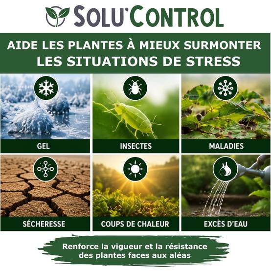 Tout pour les nuisibles - Biostimulant Concentré à l'Extrait d'Ail, d'Ortie et de Plantes Solu'Control Vége'Défense – 5 litres – Renforce les Défenses Naturelles des Plantes - Image 4