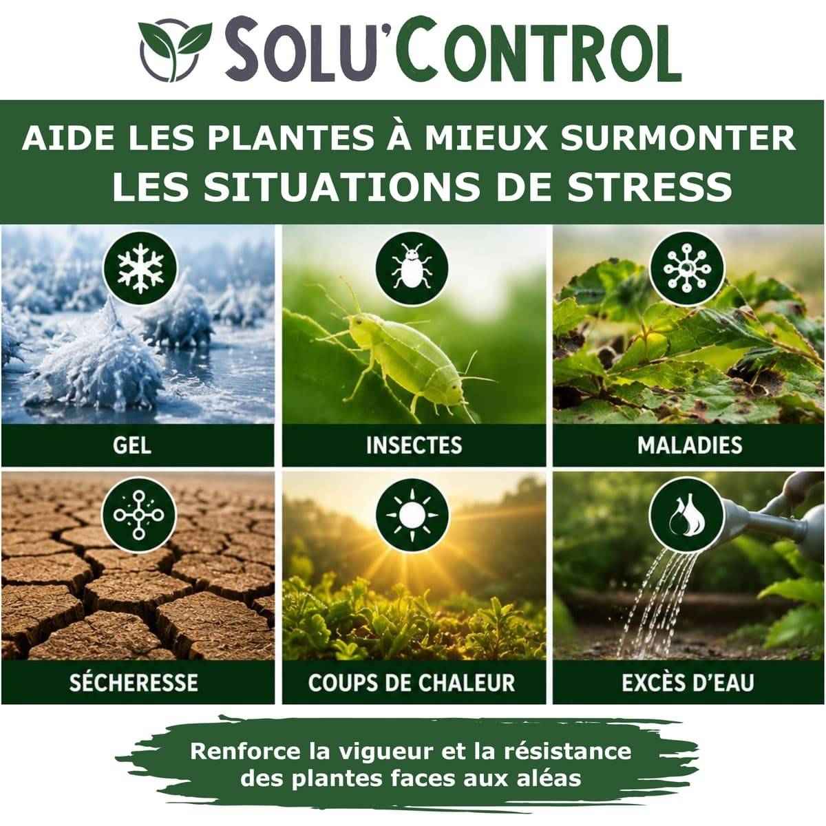 Tout pour les nuisibles - Biostimulant Concentré à l'Extrait d'Ail, d'Ortie et de Plantes Solu'Control Vége'Défense – 5 litres – Renforce les Défenses Naturelles des Plantes - Image 4