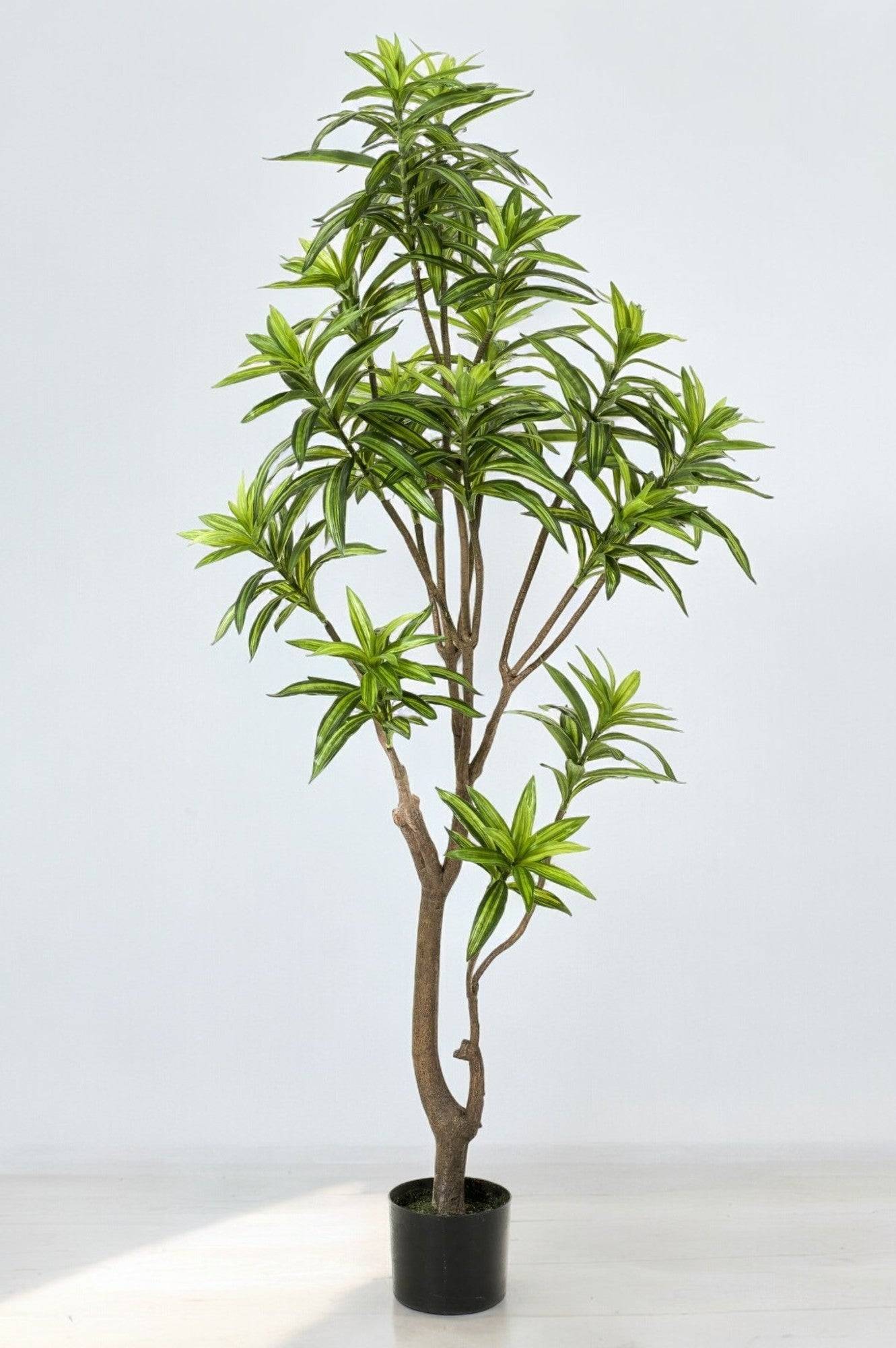 La Green Touch - Dracaena plante artificielle - h160cm, Ø12cm- La Green Touch - Imagen 1