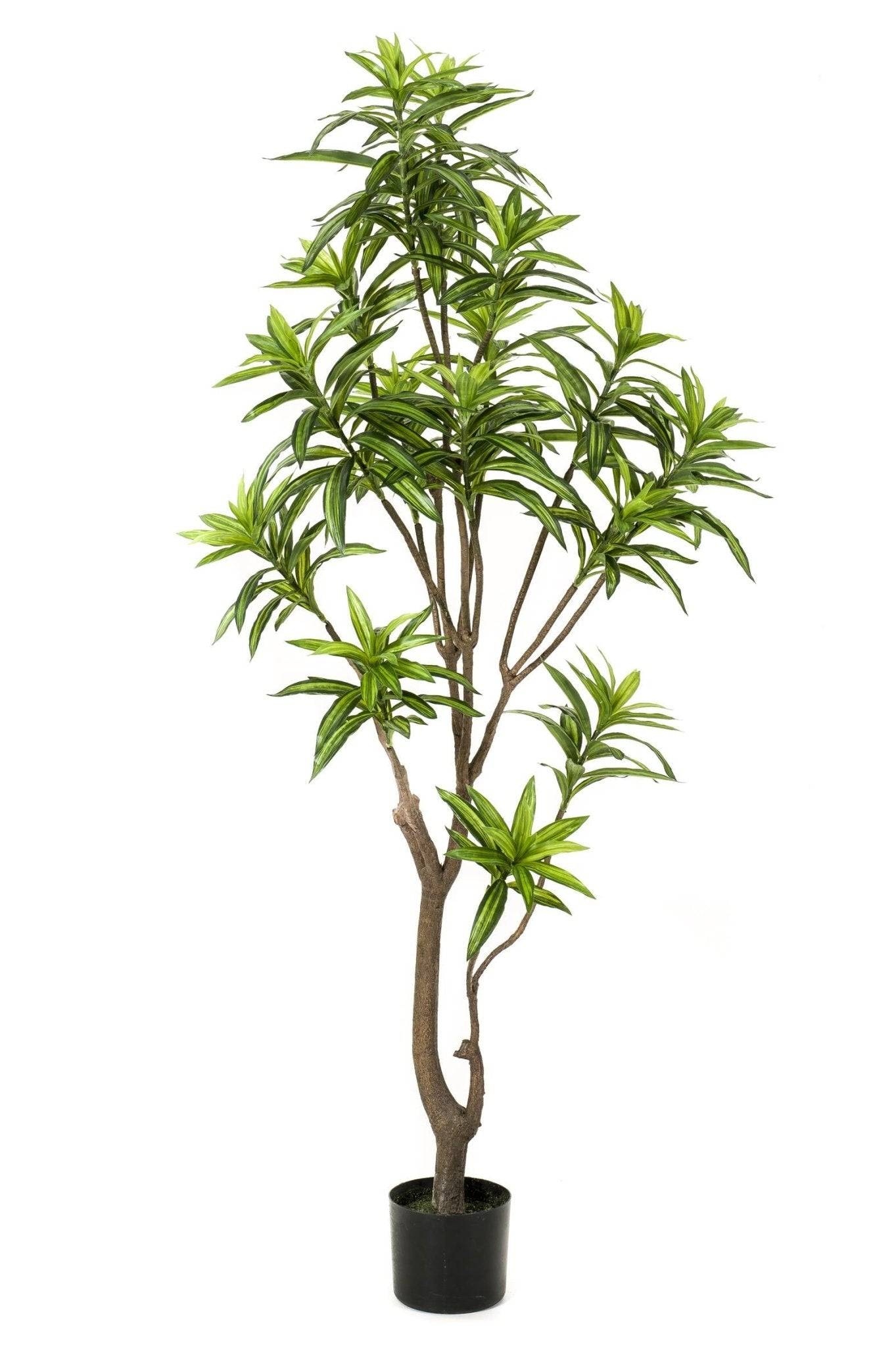 La Green Touch - Dracaena plante artificielle - h160cm, Ø12cm- La Green Touch - Imagen 2