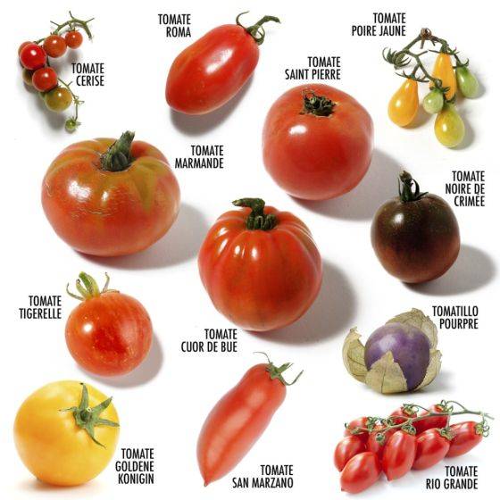 Radis et Capucine - Radis et Capucine - Enveloppe 12 sachets - Tomates Anciennes - Imagen 3
