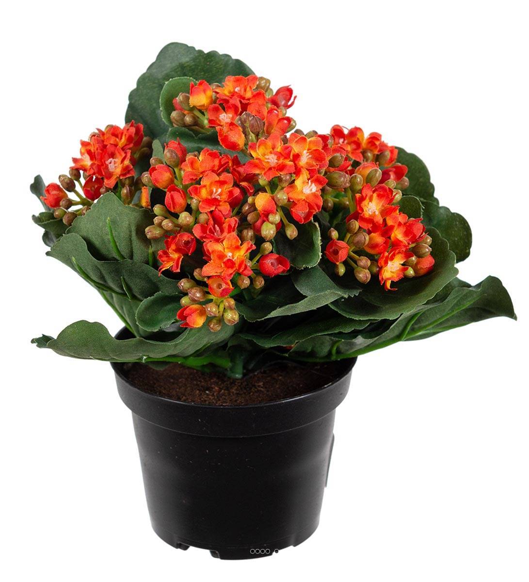 Artificielles - Kalanchoé artificiel en pot H20cm adorable et très dense Orange clair - couleur: Orange clair - Imagen 1