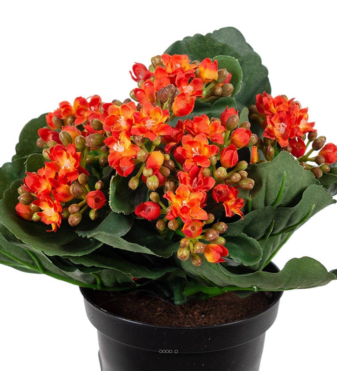 Artificielles - Kalanchoé artificiel en pot H20cm adorable et très dense Orange clair - couleur: Orange clair - Imagen 3