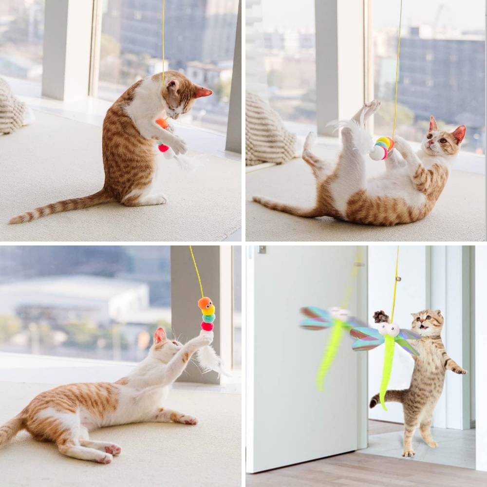 Jouets pour chats-Jouet suspendu pour chat 3-en-1 avec plumes et cataire - Living123 - Image 6